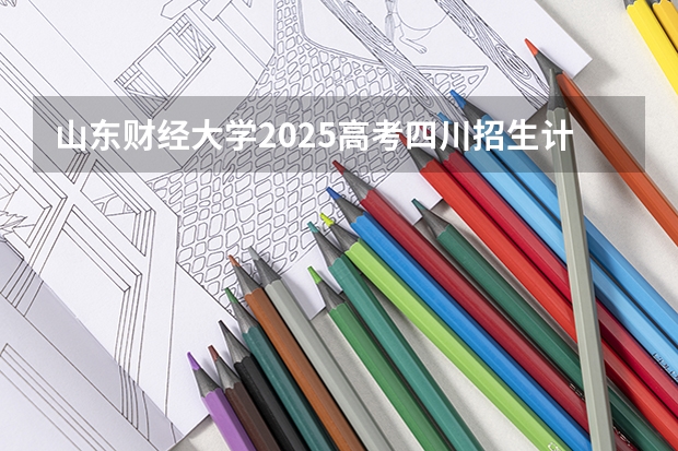 山东财经大学2025高考四川招生计划（2026参考）