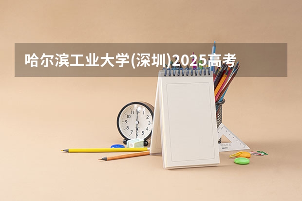 哈尔滨工业大学(深圳)2025高考河北招生计划