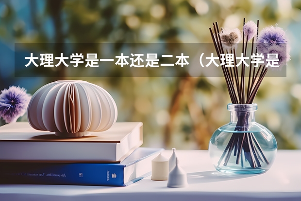 大理大学是一本还是二本（大理大学是几本？）