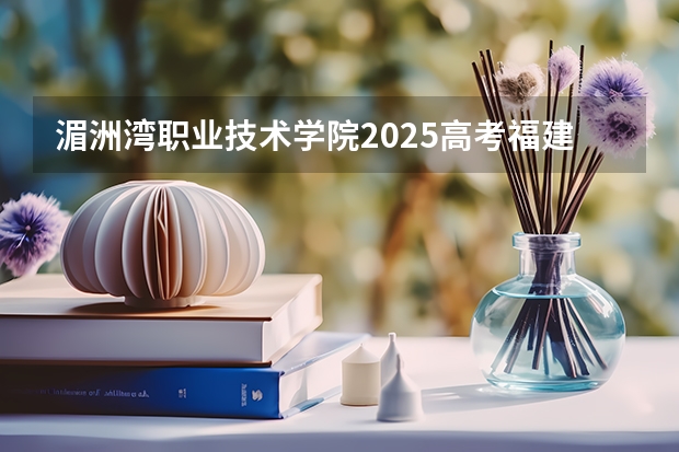 湄洲湾职业技术学院2025高考福建招生计划（2026参考）