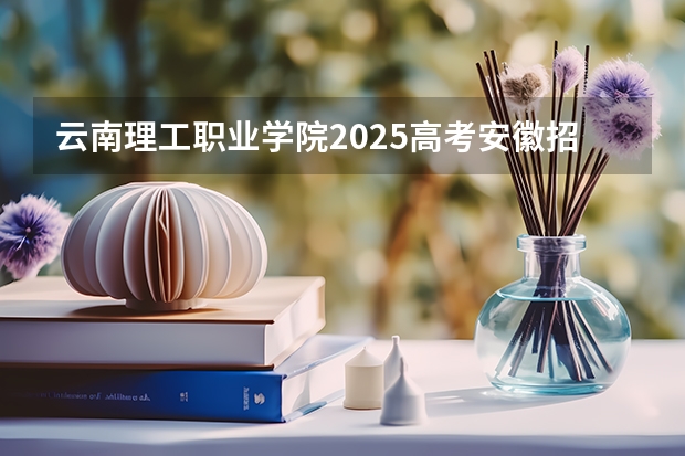 云南理工职业学院2025高考安徽招生计划