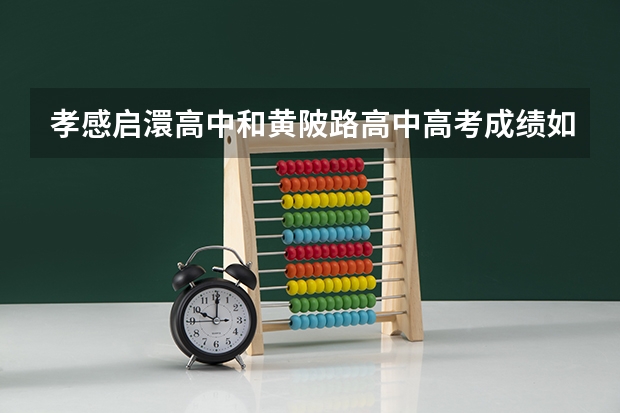 孝感启澴高中和黄陂路高中高考成绩如何