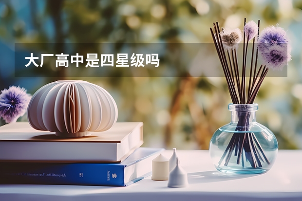 大厂高中是四星级吗