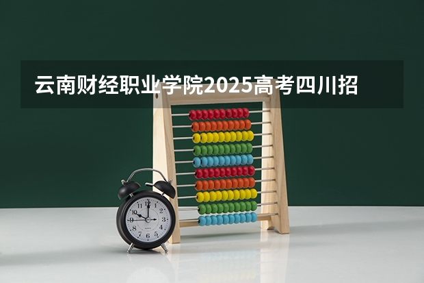 云南财经职业学院2025高考四川招生计划（2026参考）