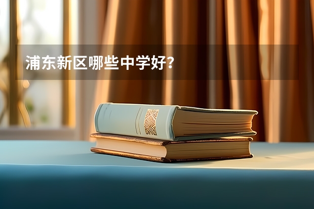 浦东新区哪些中学好?