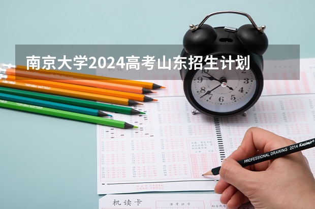 南京大学2024高考山东招生计划