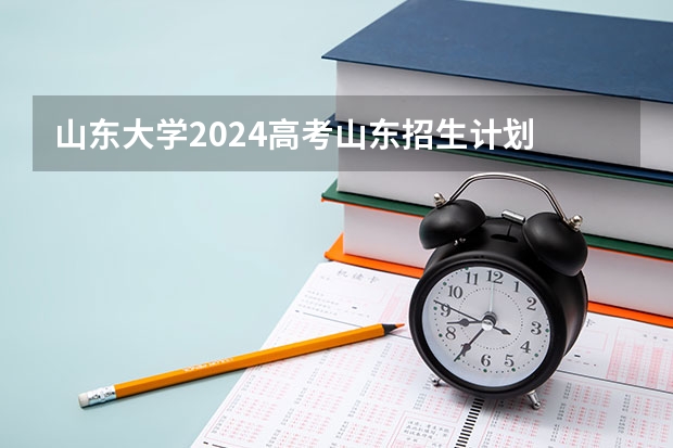 山东大学2024高考山东招生计划