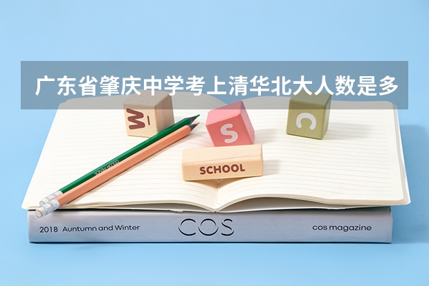 广东省肇庆中学考上清华北大人数是多少呢？