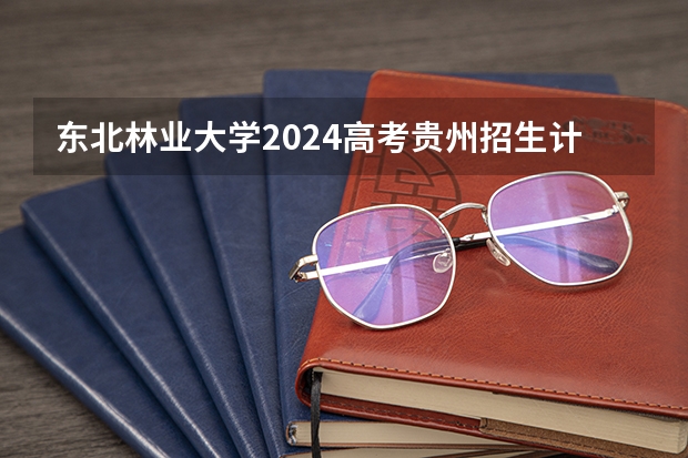 东北林业大学2024高考贵州招生计划