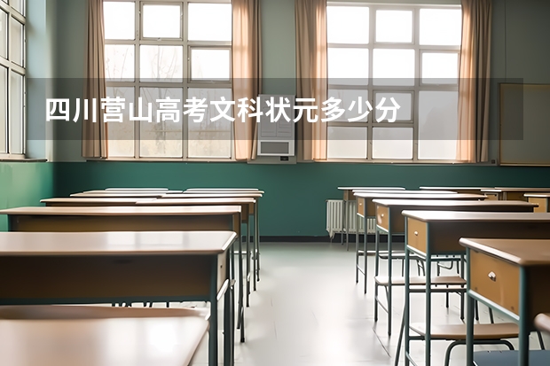 四川营山高考文科状元多少分