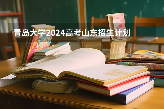 青岛大学2024高考山东招生计划