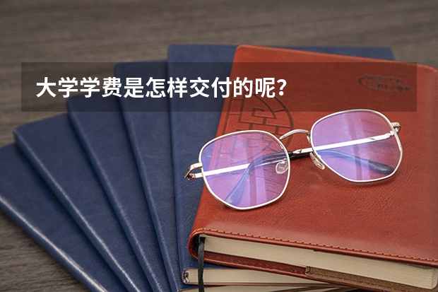 大学学费是怎样交付的呢？