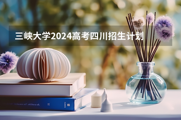 三峡大学2024高考四川招生计划