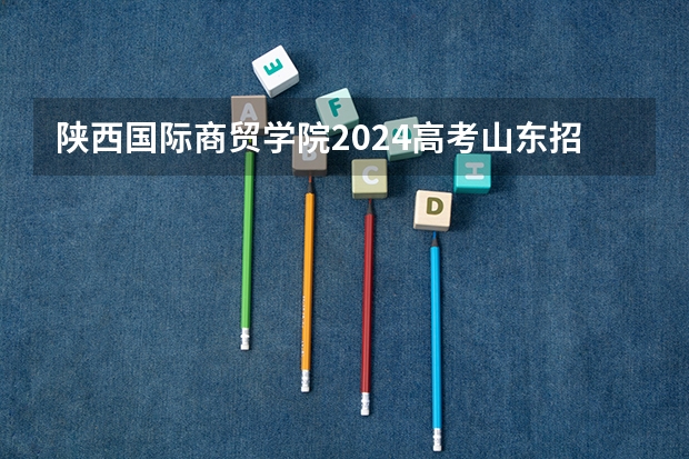 陕西国际商贸学院2024高考山东招生计划