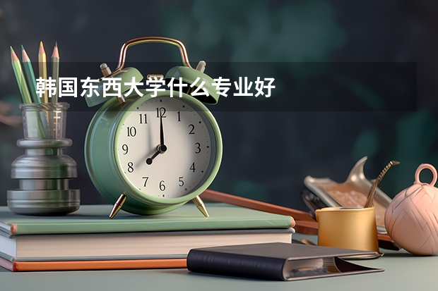 韩国东西大学什么专业好
