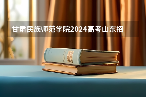 甘肃民族师范学院2024高考山东招生计划