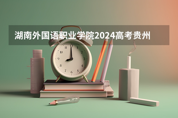 湖南外国语职业学院2024高考贵州招生计划