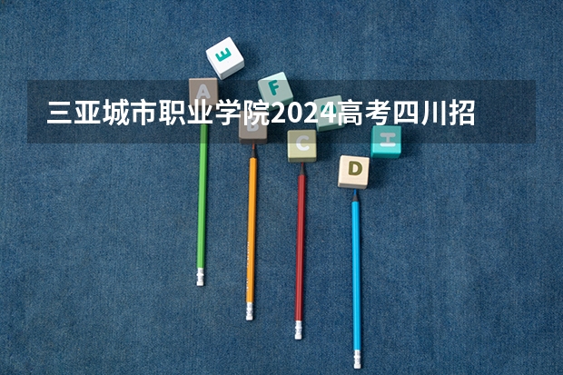 三亚城市职业学院2024高考四川招生计划