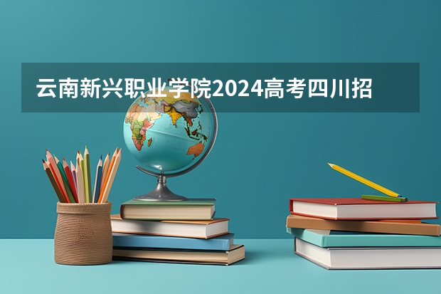云南新兴职业学院2024高考四川招生计划
