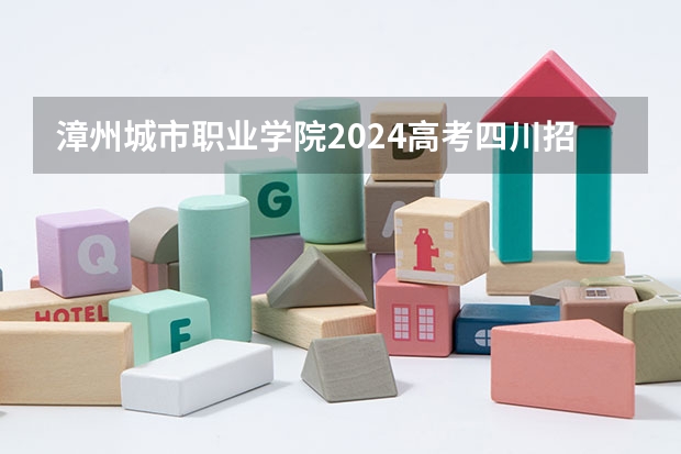 漳州城市职业学院2024高考四川招生计划