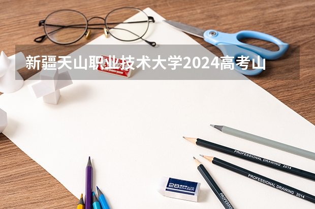 新疆天山职业技术大学2024高考山东招生计划