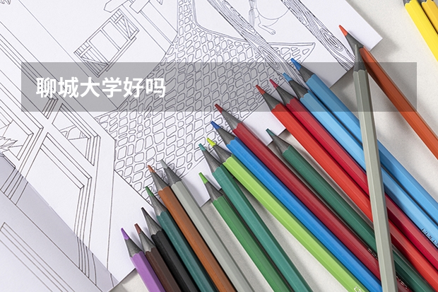 聊城大学好吗
