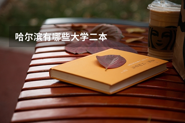哈尔滨有哪些大学二本