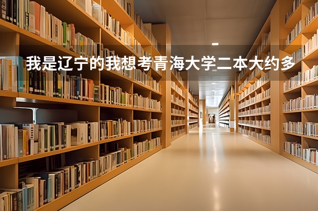 我是辽宁的我想考青海大学二本大约多少分