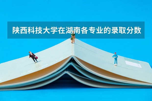 陕西科技大学在湖南各专业的录取分数线是多少