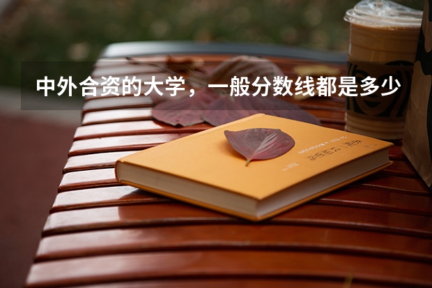 中外合资的大学，一般分数线都是多少？