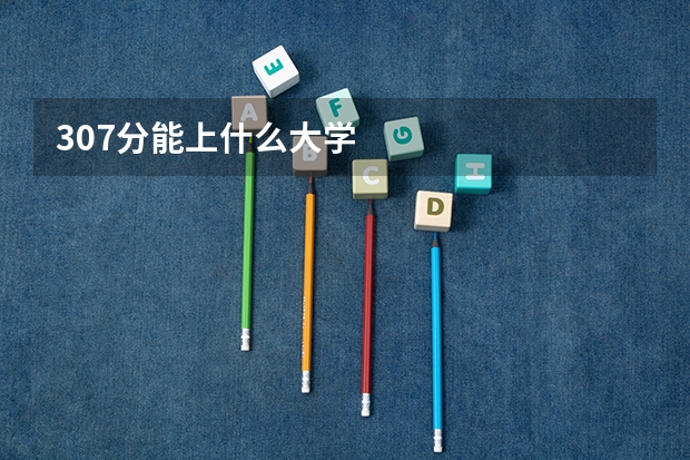 307分能上什么大学