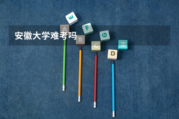 安徽大学难考吗