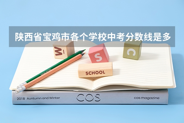 陕西省宝鸡市各个学校中考分数线是多少