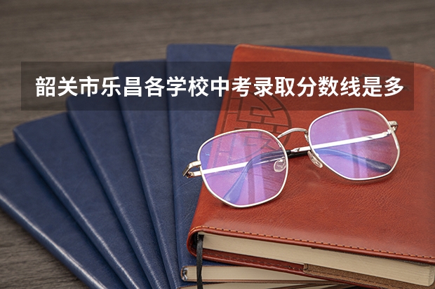韶关市乐昌各学校中考录取分数线是多少？