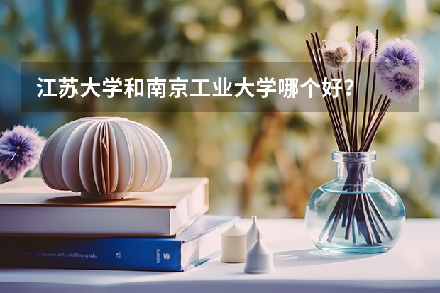 江苏大学和南京工业大学哪个好？