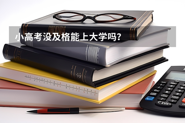 小高考没及格能上大学吗？