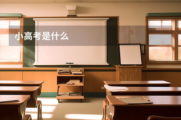 小高考是什么