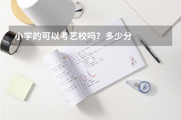 小学的可以考艺校吗？多少分
