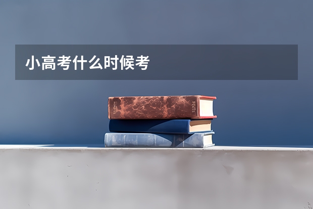 小高考什么时候考
