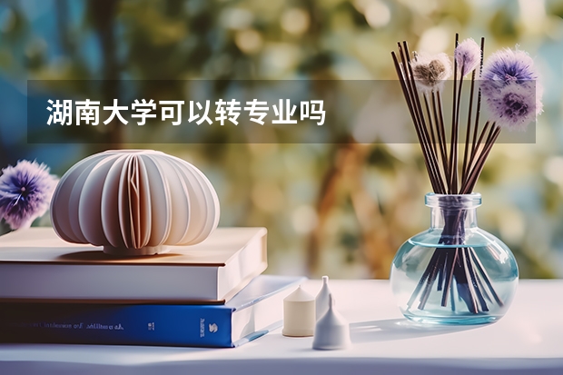 湖南大学可以转专业吗