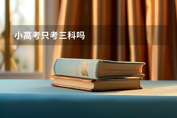小高考只考三科吗