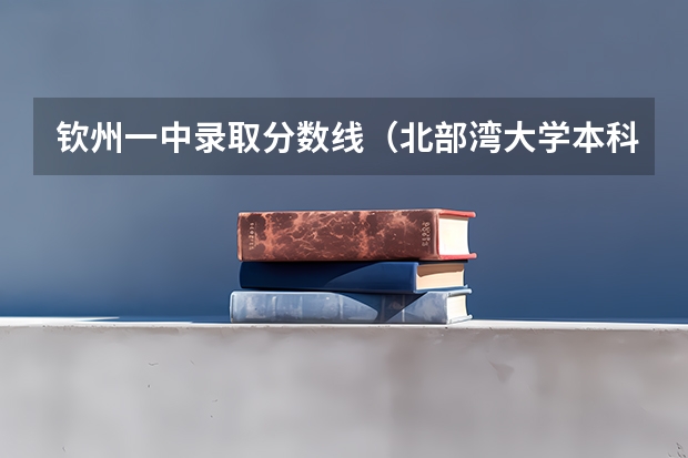 钦州一中录取分数线（北部湾大学本科提前批分数线）