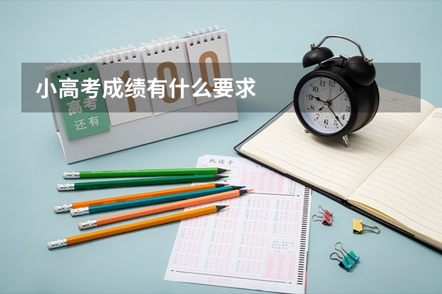 小高考成绩有什么要求