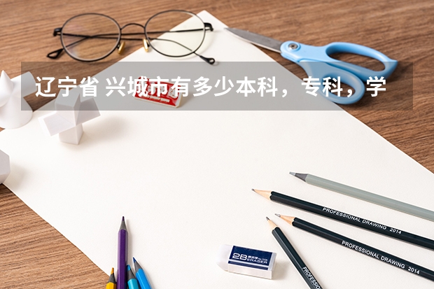 辽宁省 兴城市有多少本科，专科，学院？