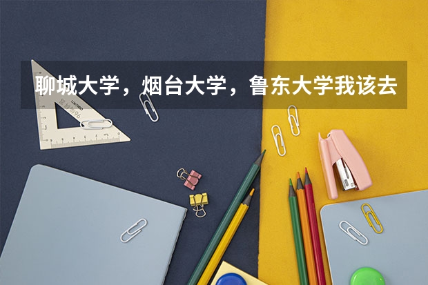 聊城大学，烟台大学，鲁东大学我该去哪个 呢？求意见。喷子，托就别进了。
