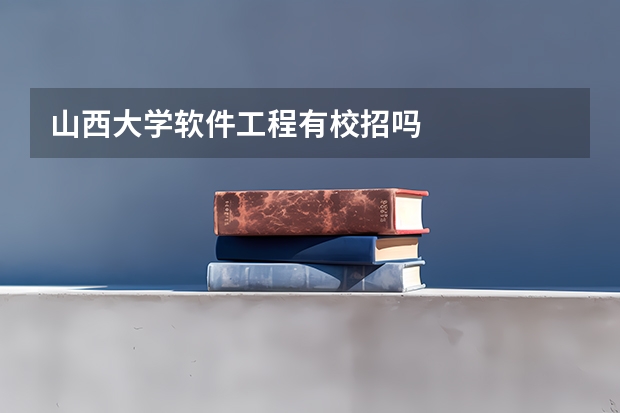 山西大学软件工程有校招吗