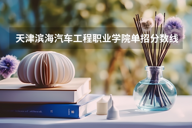 天津滨海汽车工程职业学院单招分数线（成都汽车职业技术学校录取分数线）