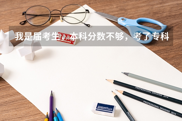 我是届考生，本科分数不够，考了专科，上专科呢还是辍学？