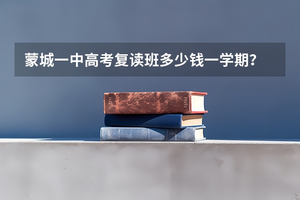 蒙城一中高考复读班多少钱一学期？