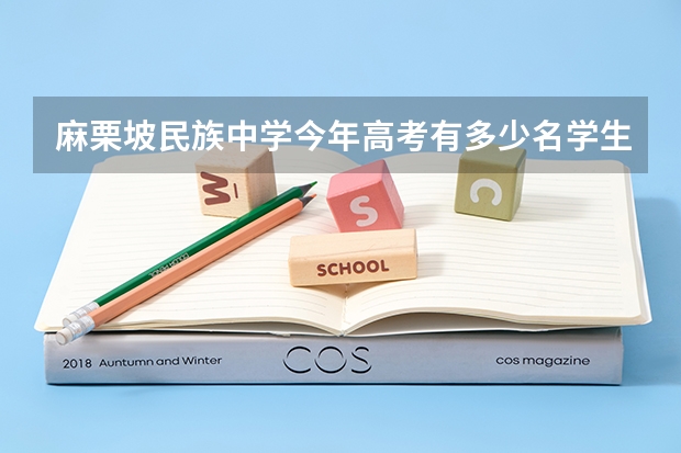 麻栗坡民族中学今年高考有多少名学生过一本？